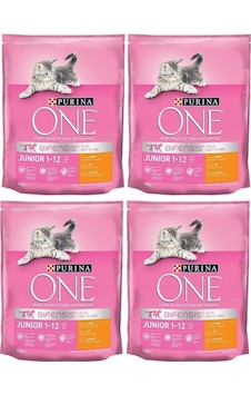 Purina One Tavuklu Yavru Kedi Maması 4 x 800 G Purina One Tavuklu Yavru Kedi Maması 4 x 800 G