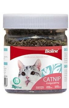 Cosmotex Bioline Catnip Kedi Otu 20 Gr