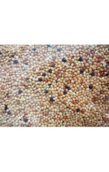 Versele Laga Col. Pickstone Red Güvercin Mineral Dest. Versele Laga Col. Pickstone Red Güvercin Mineral Dest.