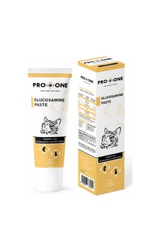 Pro One Kediler İçin Glukosamin İçerikli Macun 100 G