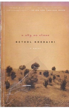 A Sky So Close: A Novel