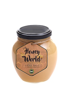 Honey World Organik Oğul Balı Süzme Çiçek Krem Balı 470 G Honey World Organik Oğul Balı Süzme Çiçek Krem Balı 470 G