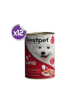 Bestpet Kuzu Etli Konserve Yavru Köpek Maması 12 x 400 G Bestpet Kuzu Etli Konserve Yavru Köpek Maması 12 x 400 G
