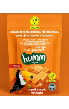 Organik Glutensiz Vegan Mangolu Mini Küpler 30 Gr Organik Glutensiz Vegan Mangolu Mini Küpler 30 Gr
