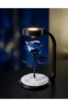 Moonlamp Mavi Gül Dekoratif Hediyelik Lamba Moonlamp Mavi Gül Dekoratif Hediyelik Lamba