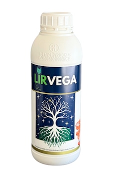 Chitoglobal Lirvega Nano Biyopolimer Organik Asit Kompleksi 1 Lt Chitoglobal Lirvega Nano Biyopolimer Organik Asit Kompleksi 1 Lt