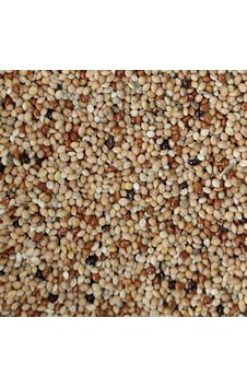 Meyvesiz Muhabbet Kuşu Yemi Karışık 1 KG Meyvesiz Muhabbet Kuşu Yemi Karışık 1 KG