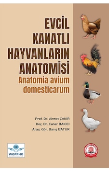 Evcil Kanatlı Hayvanların Anatomisi Evcil Kanatlı Hayvanların Anatomisi