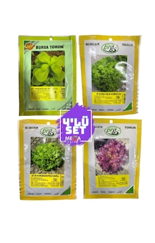 Bursa Tohumculuk 4'lü Tohum Seti Semizotu-kışlık Kıvırcık-arapsaçı Marul -kırmızı Marul 10 Gr Paketler Marul