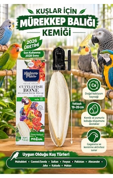 Mürekkep Balığı Kemiği Medium 19-20 Cm + Kafes Aparatı Muhabbet Ve Papağanlar İçin Doğal Kalsiyum Kaynağı Mürekkep Balığı Kemiği Medium 19-20 Cm + Kafes Aparatı Muhabbet Ve Papağanlar İçin Doğal Kalsiyum Kaynağı