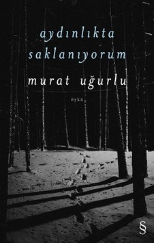 Aydınlıkta Saklanıyorum - Murat Uğurlu - Everest Yayınları