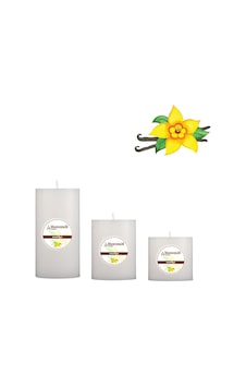 Small Vanilya Kokulu Set Mum Çap 7 Cm Beyaz