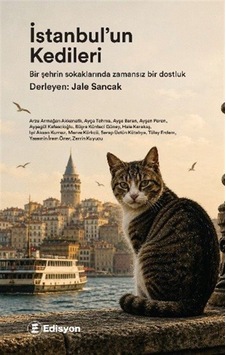 İstanbul'un Kedileri / Kolektif İstanbul'un Kedileri / Kolektif