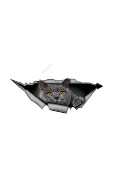 15Cm X 6Cm Ingiliz Shorthair Komik Kedi Araba Sticker Gri Kedi 15Cm X 6Cm Ingiliz Shorthair Komik Kedi Araba Sticker Gri Kedi