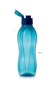 Tupperware 750 Ml Mavi Şişe Tupperware 750 Ml Mavi Şişe