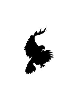 Avını Yakalamış Geri Dönen Kartal Sticker 17Cm Avını Yakalamış Geri Dönen Kartal Sticker 17Cm