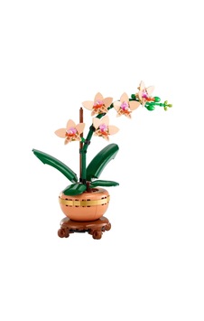 Northcity Botanicals Mini Orkide 10343 Bx Standart