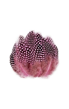 100 Pcs Decor Pink Bırd Feather 100 Adet Puantiyeli Pembe Siyah Kuş Tüyü Dekor Pembe Kuş Tüyü Diğer 100 Pcs Decor Pink Bırd Feather 100 Adet Puantiyeli Pembe Siyah Kuş Tüyü Dekor Pembe Kuş Tüyü Diğer