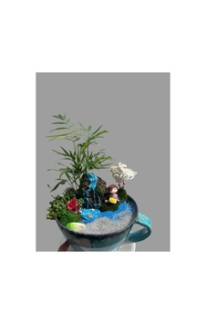 Kaktüs Aranjman , Fincan Saksıda - 867222901