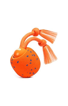 Cheerble Wicked Ball Rolly Turuncu Cwq07-o Şarjlı, İpli Ve İnteraktif Köpek Oyuncağı Cheerble Wicked Ball Rolly Turuncu Cwq07-o Şarjlı, İpli Ve İnteraktif Köpek Oyuncağı