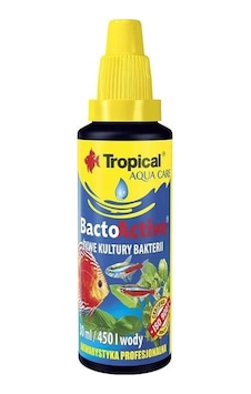 Tropıcal Bacto Active 100 Ml Tropıcal Bacto Active 100 Ml