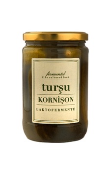 5 Adet Fermentel Laktofermente Kornişon Turşusu 660 Ml 5 Adet Fermentel Laktofermente Kornişon Turşusu 660 Ml