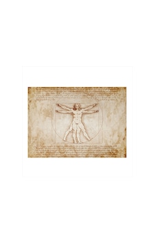 Leonardo Da Vinci'nin Adamı Mdf Poster Leonardo Da Vinci'nin Adamı Mdf Poster