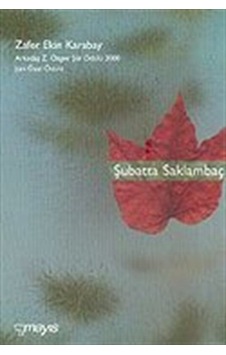 Şubatta Saklambaç/Arkadaş Z. Özger Şiir Ödülü 2000 Jüri Özel Ö... Şubatta Saklambaç/Arkadaş Z. Özger Şiir Ödülü 2000 Jüri Özel Ö...