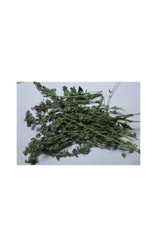 Çıban Otu-kırmızı Kısa Mahmut 250 Gr Aktar Depo Diğer Çıban Otu-kırmızı Kısa Mahmut 250 Gr Aktar Depo Diğer