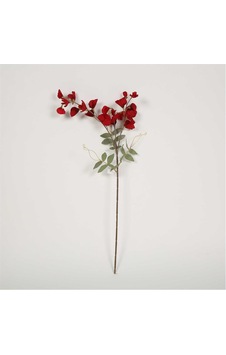 Vitale Bezelye Çiçeği Red Bezay Çiçek 25 76 8 Cm Vitale Bezelye Çiçeği Red Bezay Çiçek 25 76 8 Cm