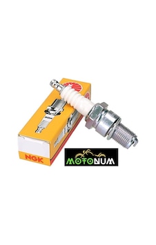 Kuba Tk 03 Ngk Buji M0004 Kuba Tk 03 Ngk Buji M0004
