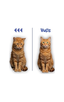 Vups Tüy Dökülme Engelleyici Kedi Malt Macunu 100 Gr Vups Tüy Dökülme Engelleyici Kedi Malt Macunu 100 Gr