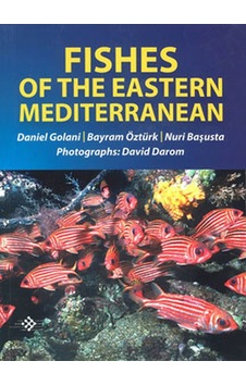 Fishes Of The Eastern Mediterranean Fishes Of The Eastern Mediterranean