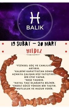 Gümüştel El Sanatları Sertifikalı Burç Taşı Balık Burcu Yıldız Taşı Bileklik Kahverengi Gümüştel El Sanatları Sertifikalı Burç Taşı Balık Burcu Yıldız Taşı Bileklik Kahverengi