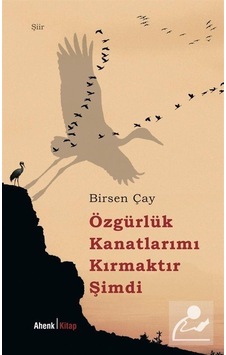 Özgürlük Kanatlarımı Kırmaktır Şimdi / Birsen Çay Özgürlük Kanatlarımı Kırmaktır Şimdi / Birsen Çay