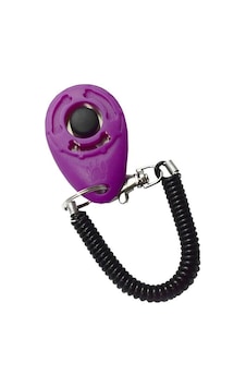 Nunbell Köpek Eğitim Aparatı Askılı Hızlı Clicker 6 Cm Nunbell Köpek Eğitim Aparatı Askılı Hızlı Clicker 6 Cm