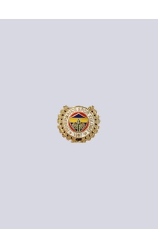 Fenerbahçe Rozet 1,9 Cm Altın