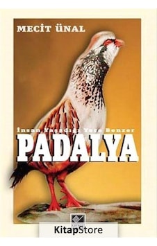 Padalya - Mecit Ünal - Kaynak Yayınları