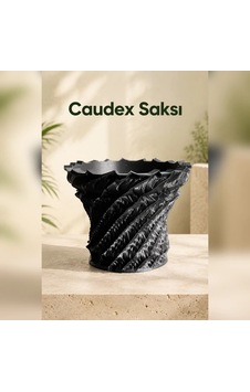 Caudex Saksı Dekoratif Kaktüs Sukulent Ve Caudex Bitki Saksısı Caudex Saksı Dekoratif Kaktüs Sukulent Ve Caudex Bitki Saksısı