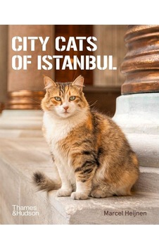 City Cats Of Istanbul Ciltli Thames & Hudson City Cats Of Istanbul Ciltli Thames & Hudson