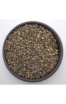 Kenevir Kendir Tohumu 1 KG Kenevir Kendir Tohumu 1 KG