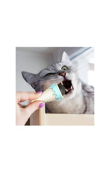 Dondurma Şeklinde Kedi Nanesi Kedi Otu - Pg6240