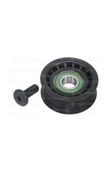 Hutchinson Alternatör Gergi Rulmanı Ducato-boxer-jumper-transit 2.2hdi-tdcı Hutchınson T0323 1611423480-5751.f0-6c1q 19a216 Aa
