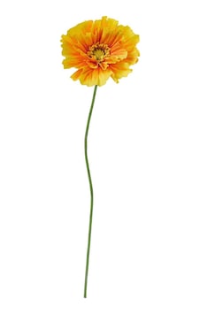 Yapay Çiçek, Turuncu, 40 Cm, Gelincik Yapay Çiçek, Turuncu, 40 Cm, Gelincik
