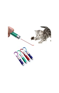 Li Kedi Oyuncağı