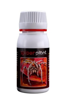 Agrobacterias Spider Plant 60 Ml Diğer Agrobacterias Spider Plant 60 Ml Diğer