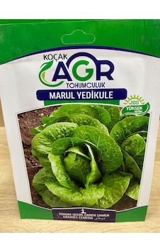 Agr Marul Yedikule Tohumu Marul Agr Marul Yedikule Tohumu Marul