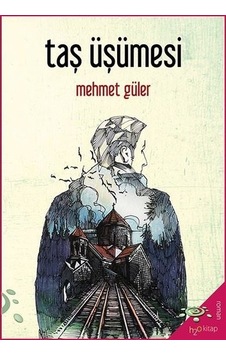 Taş Üşümesi - Mehmet Güler - h2o Kitap