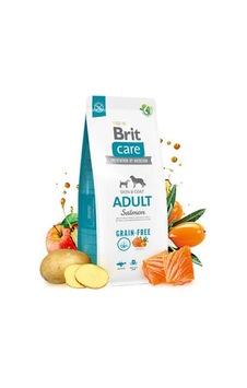 Skin Coat Somonlu Tahılsız Yetişkin Köpek Maması 3 Kg
