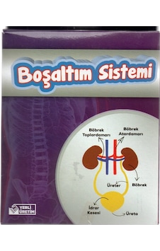 Böbrek Boşaltım Sistemi Deney Seti